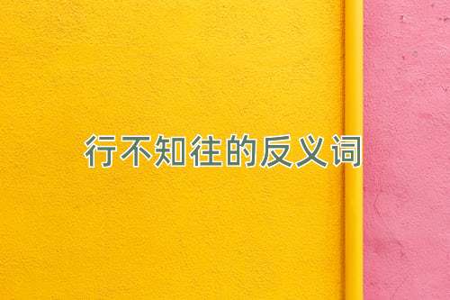 行不知往的反义词