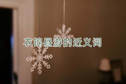 衣锦昼游的近义词