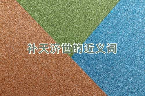 补天济世的近义词
