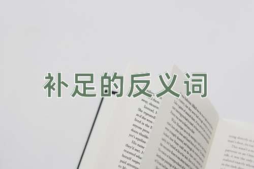 补足的反义词