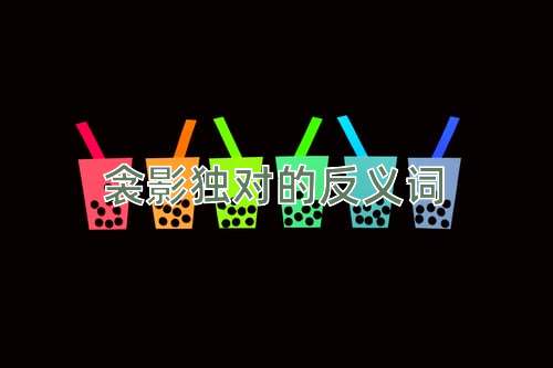 衾影独对的反义词