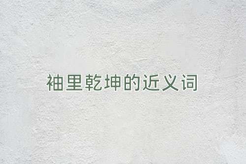 袖里乾坤的近义词