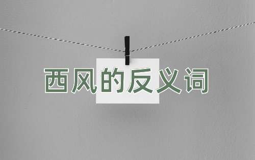 西风的反义词