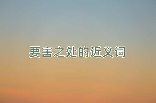 要害之处的近义词