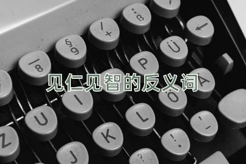 见仁见智的反义词