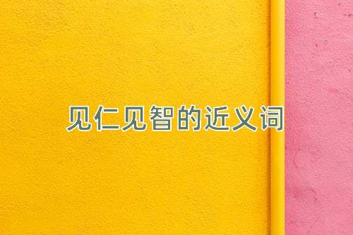 见仁见智的近义词