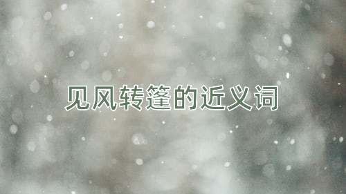 见风转篷的近义词