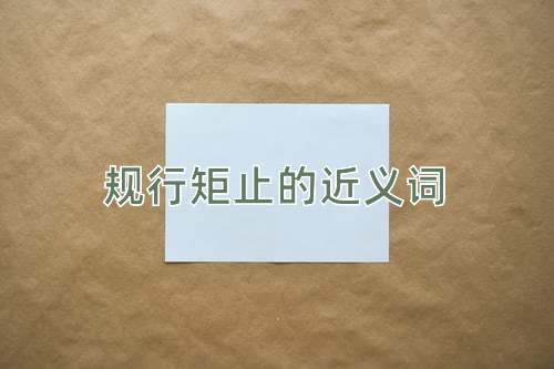 规行矩止的近义词