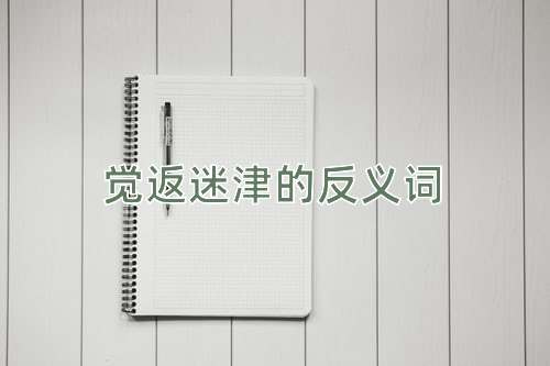 觉返迷津的反义词