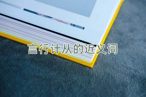 言行计从的近义词