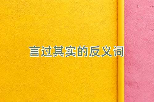 言过其实的反义词