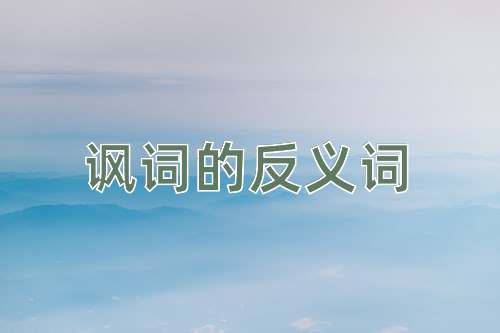 讽词的反义词
