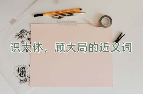 识大体，顾大局的近义词