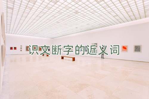 识文断字的近义词
