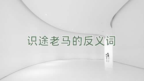识途老马的反义词
