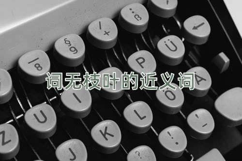 词无枝叶的近义词