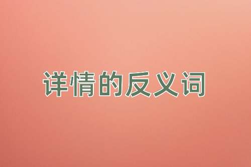 详情的反义词
