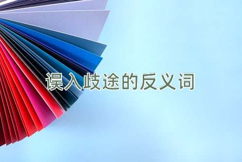 误入歧途的反义词