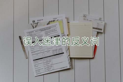 误入迷津的反义词