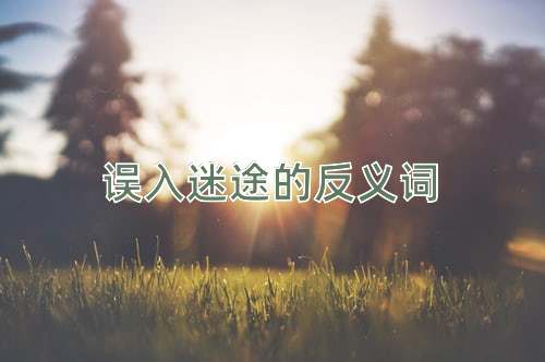 误入迷途的反义词