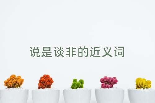 说是谈非的近义词