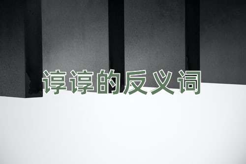 谆谆的反义词