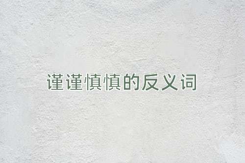 谨谨慎慎的反义词