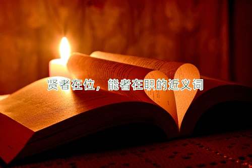 贤者在位，能者在职的近义词