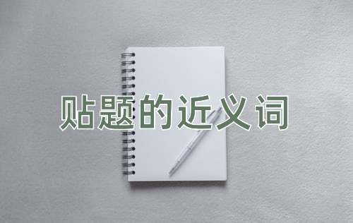 贴题的近义词