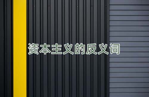 资本主义的反义词