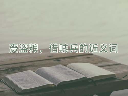 赍盗粮，借贼兵的近义词