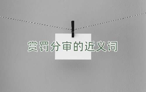 赏罚分审的近义词