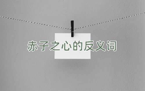 赤子之心的反义词