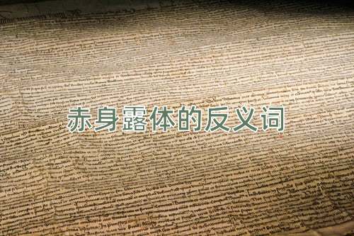 赤身露体的反义词