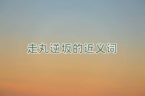 走丸逆坂的近义词