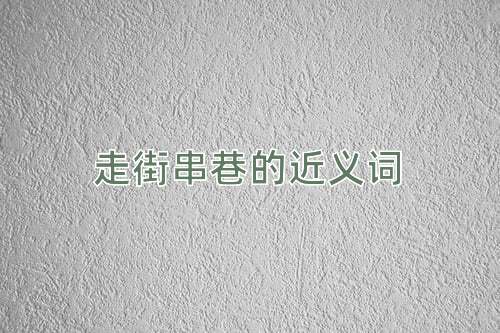 走街串巷的近义词