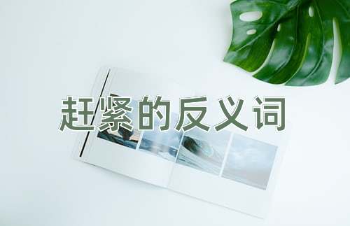 赶紧的反义词