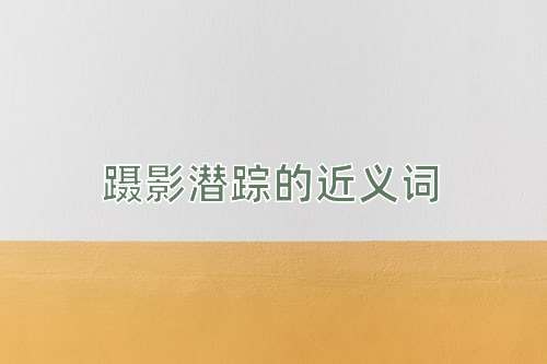 蹑影潜踪的近义词