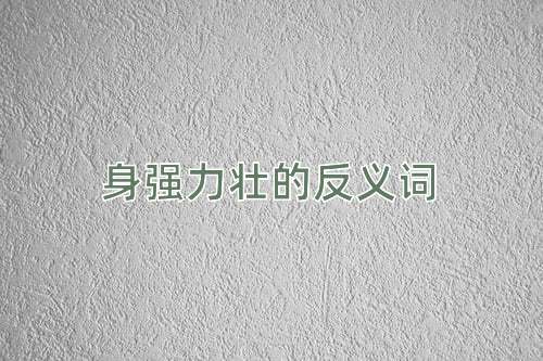 身强力壮的反义词