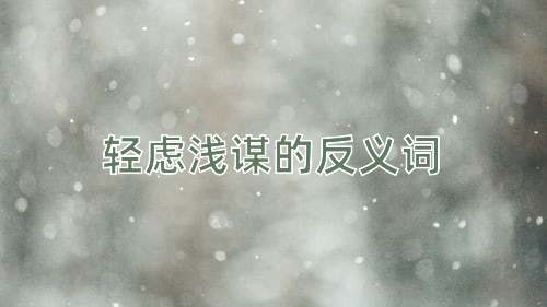轻虑浅谋的反义词