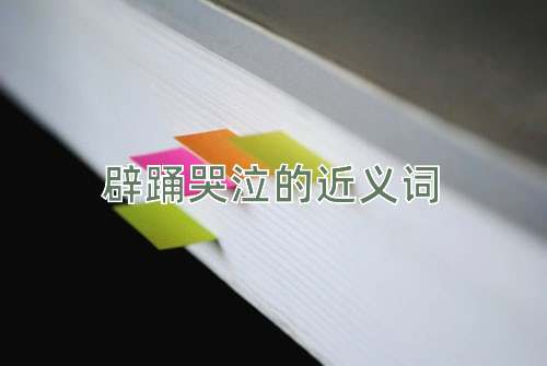 辟踊哭泣的近义词