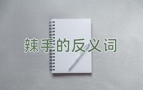 辣手的反义词