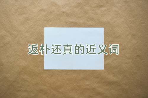 返朴还真的近义词