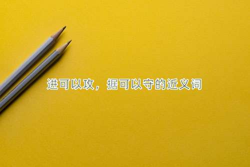 进可以攻，据可以守的近义词