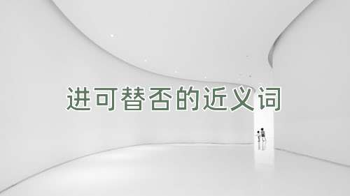 进可替否的近义词