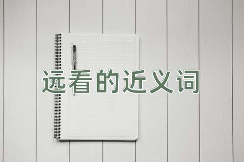 远看的近义词