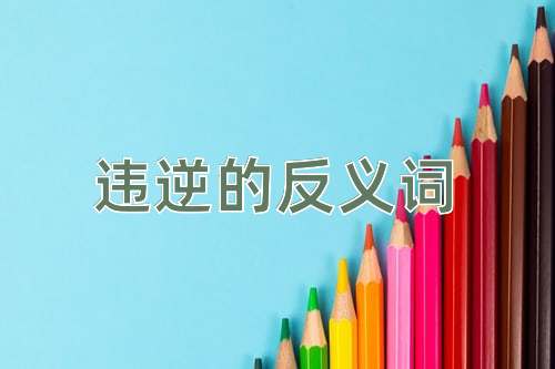 违逆的反义词