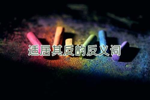 适居其反的反义词
