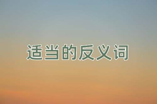适当的反义词
