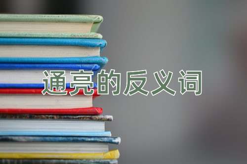 通亮的反义词